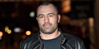 joe rogan