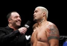 mark hunt knockout