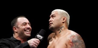mark hunt knockout