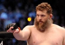 josh barnett vs Roy NElson