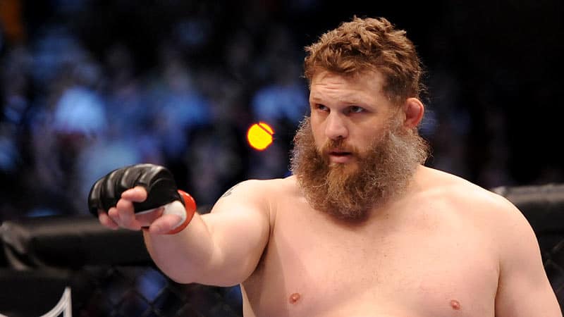 josh barnett vs Roy NElson