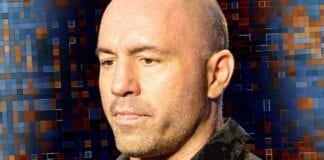 ronda rousey jon jones drug test joe rogan