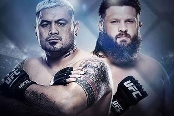 ufc fight night 52 mark hunt vs roy nelson 21