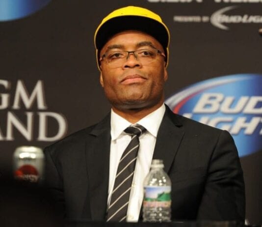 anderson silva ufc 183