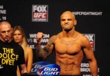 ufc rankings