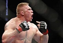 brock lesnar ufc return