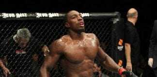 phil davis