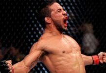 dennis bermudez vs ricardo lamas vs dennis bermudez ufc 180 KO fight video