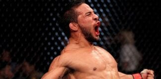 dennis bermudez vs ricardo lamas vs dennis bermudez ufc 180 KO fight video