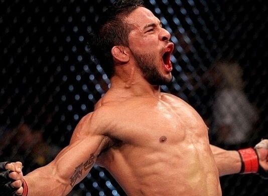 dennis bermudez vs ricardo lamas vs dennis bermudez ufc 180 KO fight video