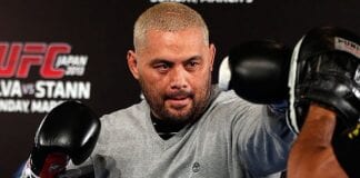 mark hunt vs fabricio werdum fight video