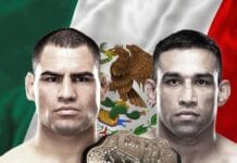 werdum vs velasquez cain velasquez vs fabricio werdum ufc 188