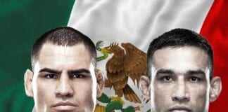 werdum vs velasquez cain velasquez vs fabricio werdum ufc 188