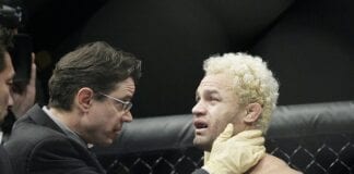 ufc 184