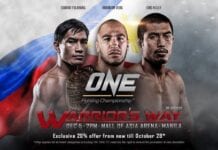 one fc 23 results