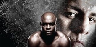 anderson silva vs nick diaz