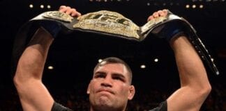 cain velasquez vs fabricio werdum
