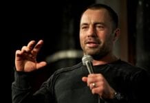 joe rogan