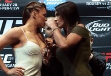 UFC 184
