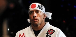 georges st-pierre ufc stats