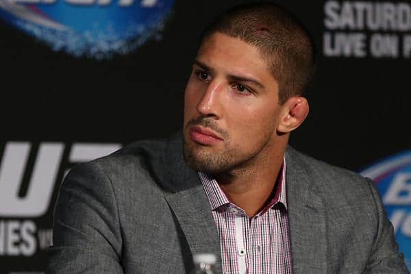 Brendan Schaub Moves Down To Light Heavyweight For Next Fight