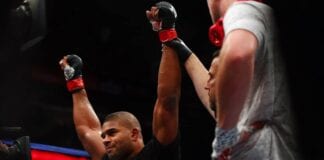 alistair overeem ufc stats