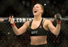 ufc 184