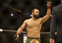 ufc 185
