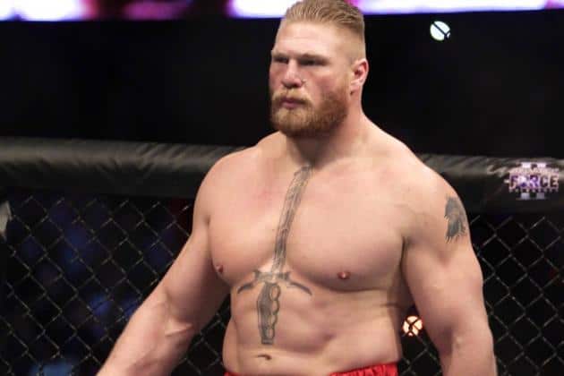 Brock Lesnar Was In Attendance At UFC 184