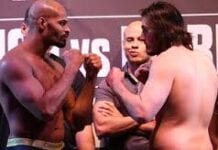 wsof 20