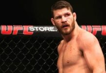 michael bisping ufc stats