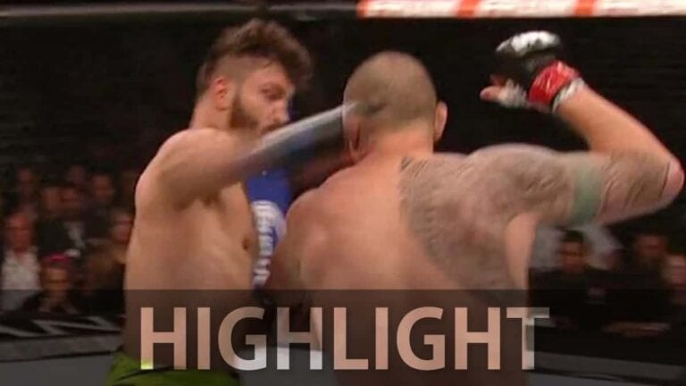 Andrei Arlovski vs. Travis Browne Full Fight Video Highlights