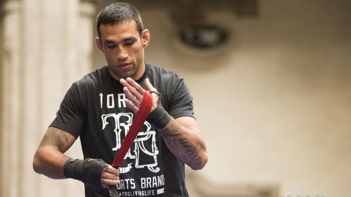 fabricio werdum