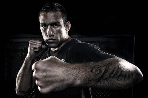 Is Fabricio Werdum The One? 1 fabricio werdum profile