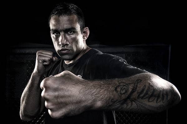 Is Fabricio Werdum The One?