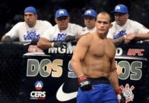 junior dos santos ufc