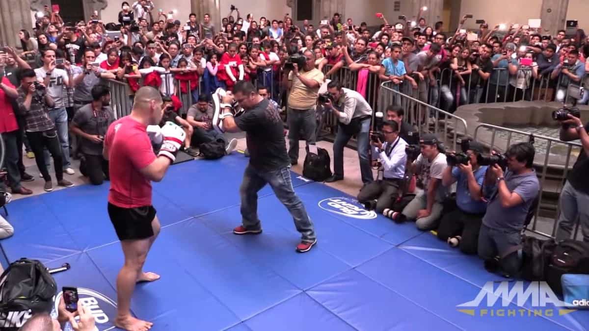 UFC 188 Open Workout Videos 1