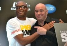 UFC anderson Silva records UFC stats