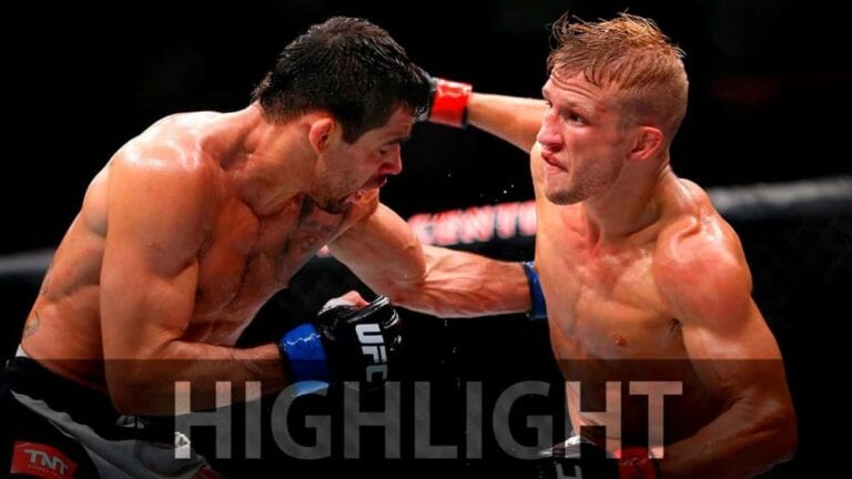 T.J. Dillashaw vs. Renan Barao Video Highlights