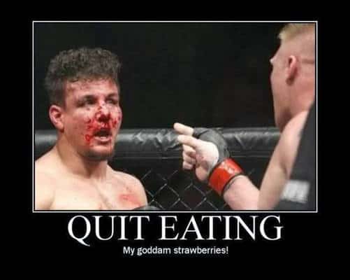 110813-UFC-Memes-HF-G15_20131108220502310_600_4001.jpg