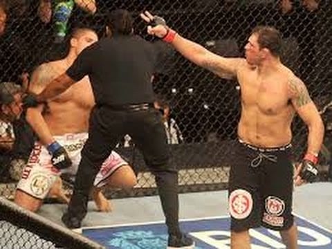 nogueira vs schaub knockout video