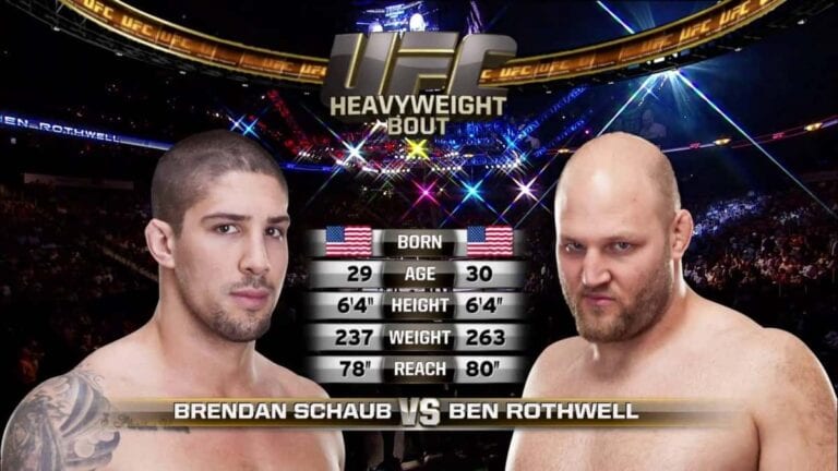 Ben Rothwell vs. Brendan Schaub Full Fight Video