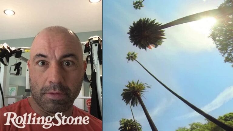 Joe Rogan On Cheating Death With TRT & Tripping Balls On DMT