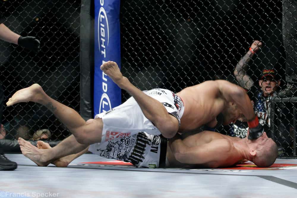 Dan Henderson Michael Bisping 114