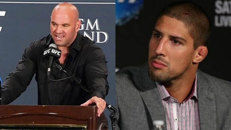 Brendan Schaub Banned From UFC Now For ‘Controversial Comments’