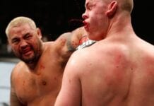 Mark Hunt
