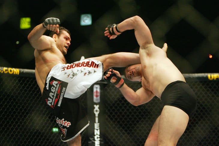 gabriel gonzaga crocop natick mma ufc bjj