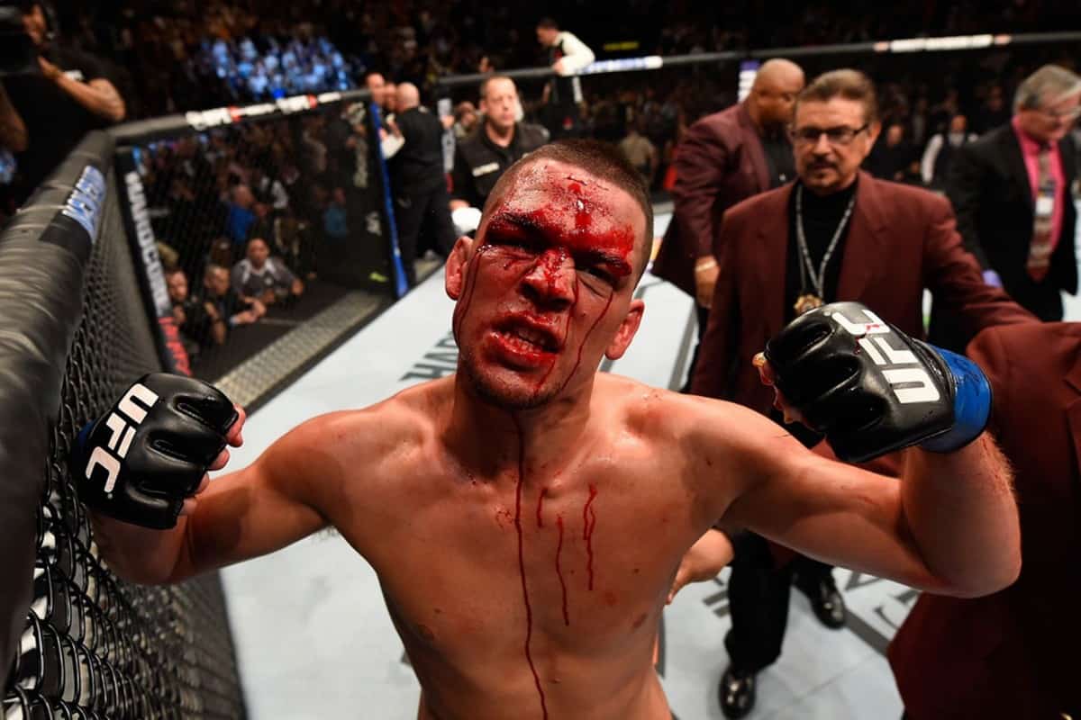 Conor McGregor vs Nate Diaz 2