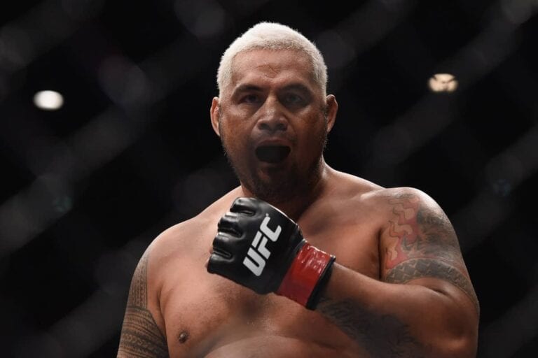 UFC Fight Night 85 Bonuses: Mark Hunt Banks Big For Latest KO