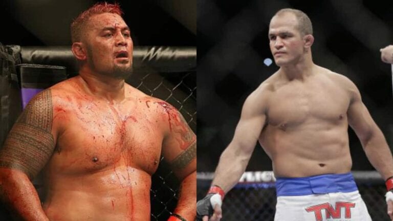 Mark Hunt Wants Junior dos Santos At UFC 200